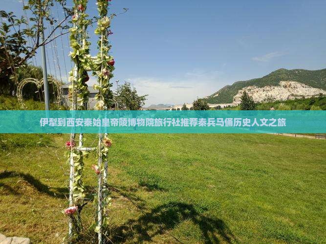 伊犁到西安秦始皇帝陵博物院旅行社推荐秦兵马俑历史人文之旅