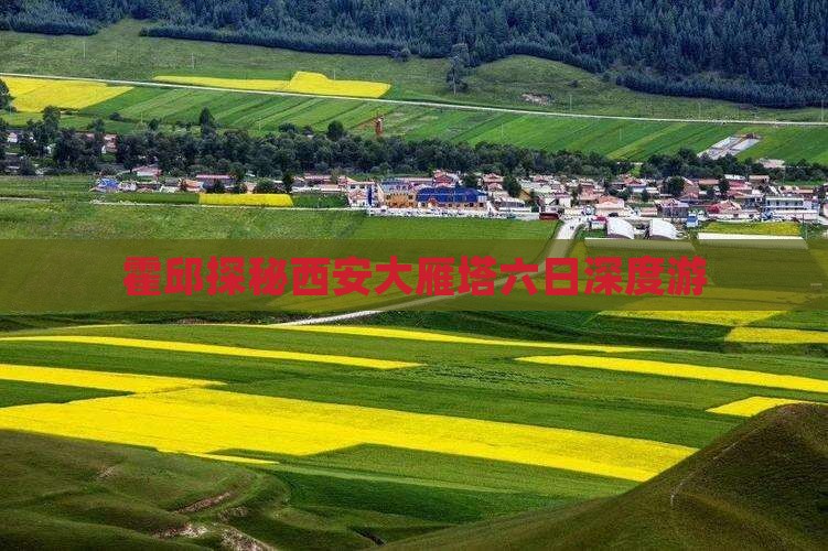 霍邱探秘西安大雁塔六日深度游