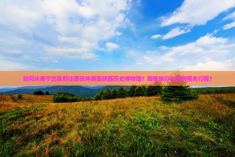 如何从南宁出发前往西安并游览陕西历史博物馆？哪些旅行社提供相关行程？