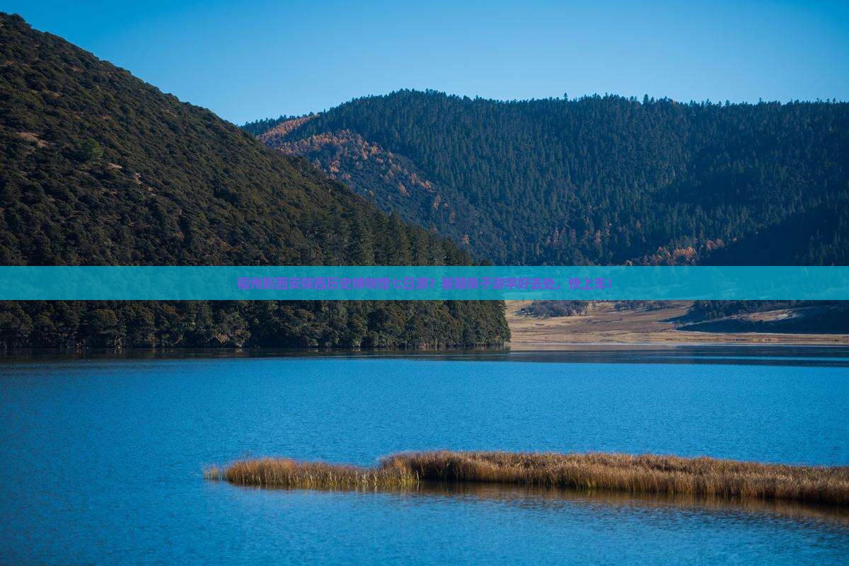 福州到西安陕西历史博物馆七日游？暑期亲子游学好去处，快上车！