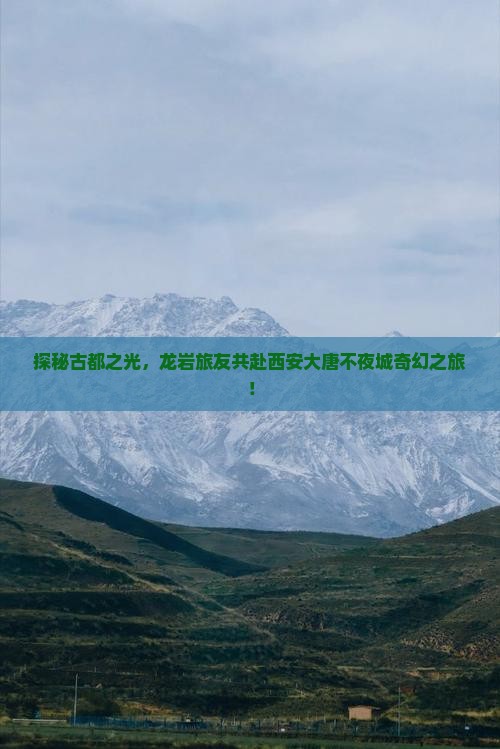 探秘古都之光，龙岩旅友共赴西安大唐不夜城奇幻之旅！