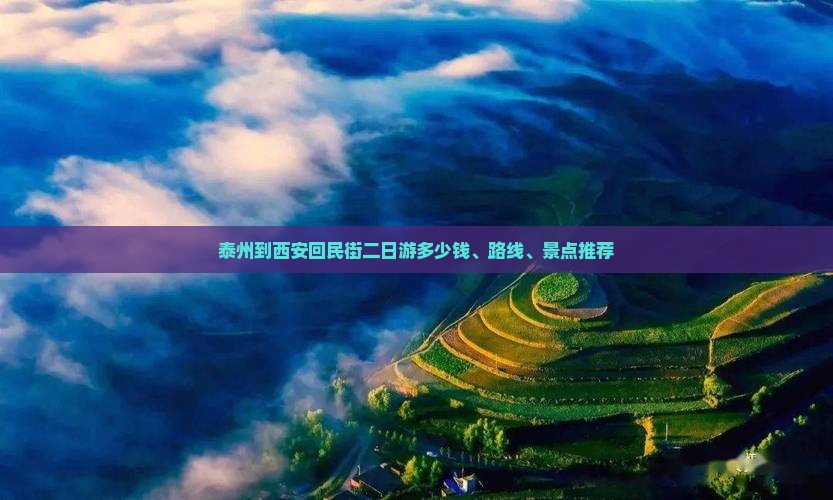 泰州到西安回民街二日游多少钱、路线、景点推荐