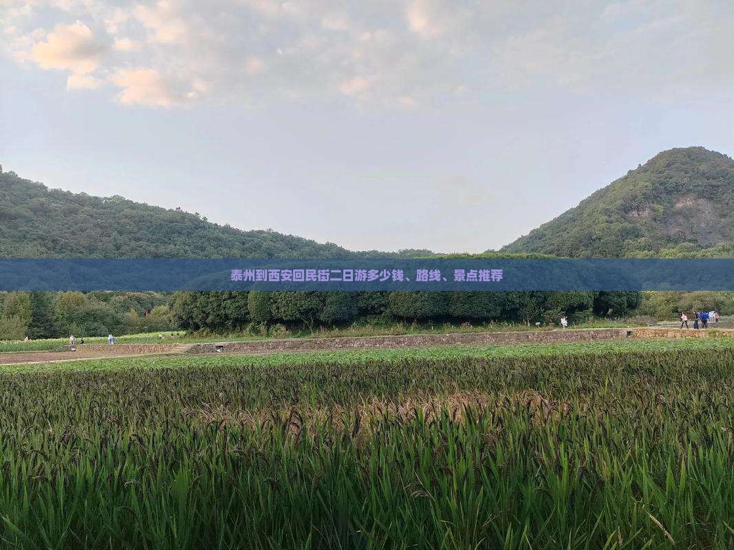 泰州到西安回民街二日游多少钱、路线、景点推荐