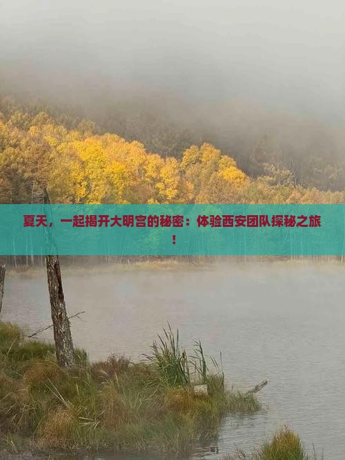 夏天，一起揭开大明宫的秘密：体验西安团队探秘之旅！