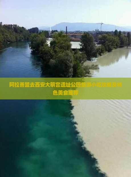 阿拉善盟去西安大明宫遗址公园旅游小吃攻略及特色美食推荐
