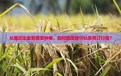 从临汾出发到西安钟楼，如何选择旅行社及预订行程？