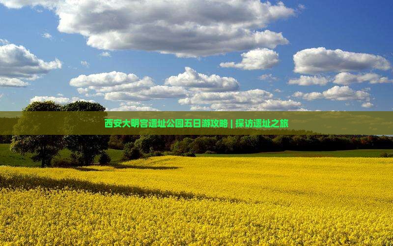 西安大明宫遗址公园五日游攻略 | 探访遗址之旅