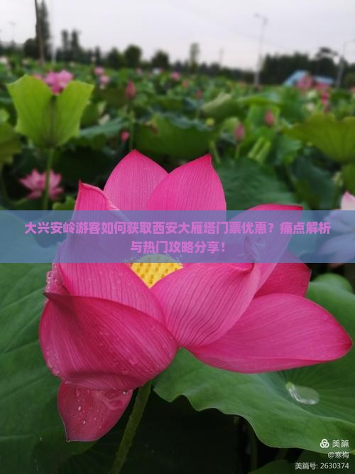 大兴安岭游客如何获取西安大雁塔门票优惠？痛点解析与热门攻略分享！