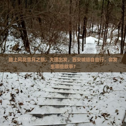 踏上风花雪月之旅，大理出发，西安城墙自由行，会发生哪些故事？