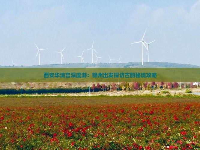 西安华清宫深度游：锦州出发探访古韵秘境攻略