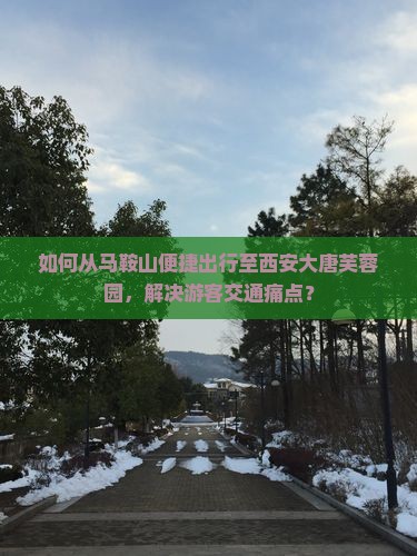 如何从马鞍山便捷出行至西安大唐芙蓉园，解决游客交通痛点？