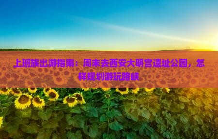 上班族出游指南：周末去西安大明宫遗址公园，怎样规划游玩路峡