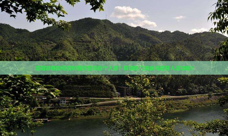 信阳游客如何规划西安回民街个人游？解锁热门美食与避开人潮攻略！
