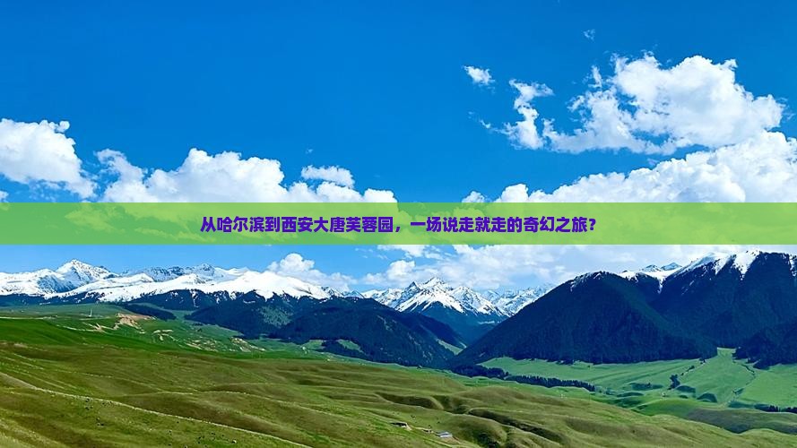 从哈尔滨到西安大唐芙蓉园，一场说走就走的奇幻之旅？