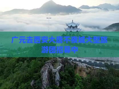 广元去西安大唐不夜城大型旅游团招募中