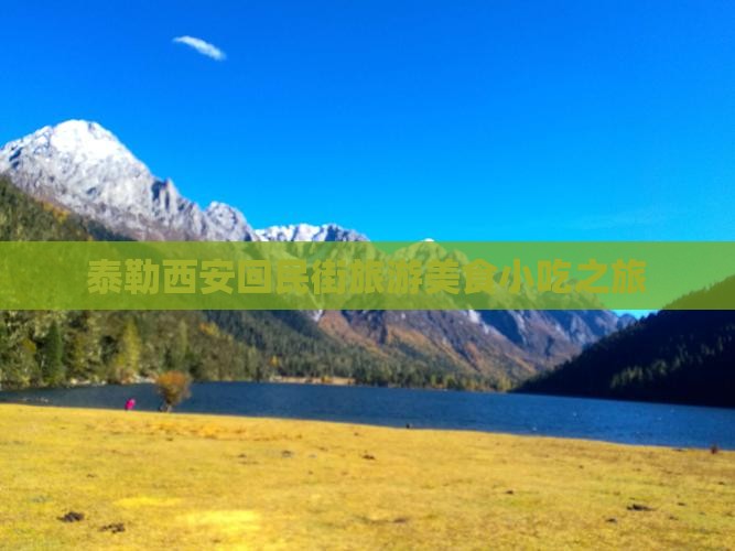 泰勒西安回民街旅游美食小吃之旅