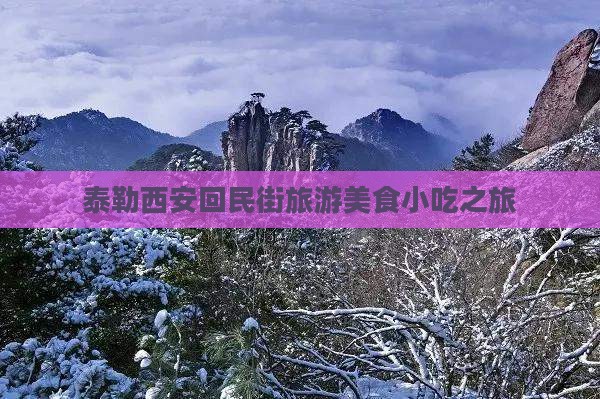 泰勒西安回民街旅游美食小吃之旅
