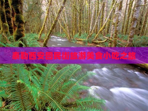 泰勒西安回民街旅游美食小吃之旅