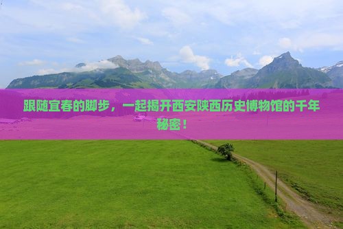 跟随宜春的脚步，一起揭开西安陕西历史博物馆的千年秘密！