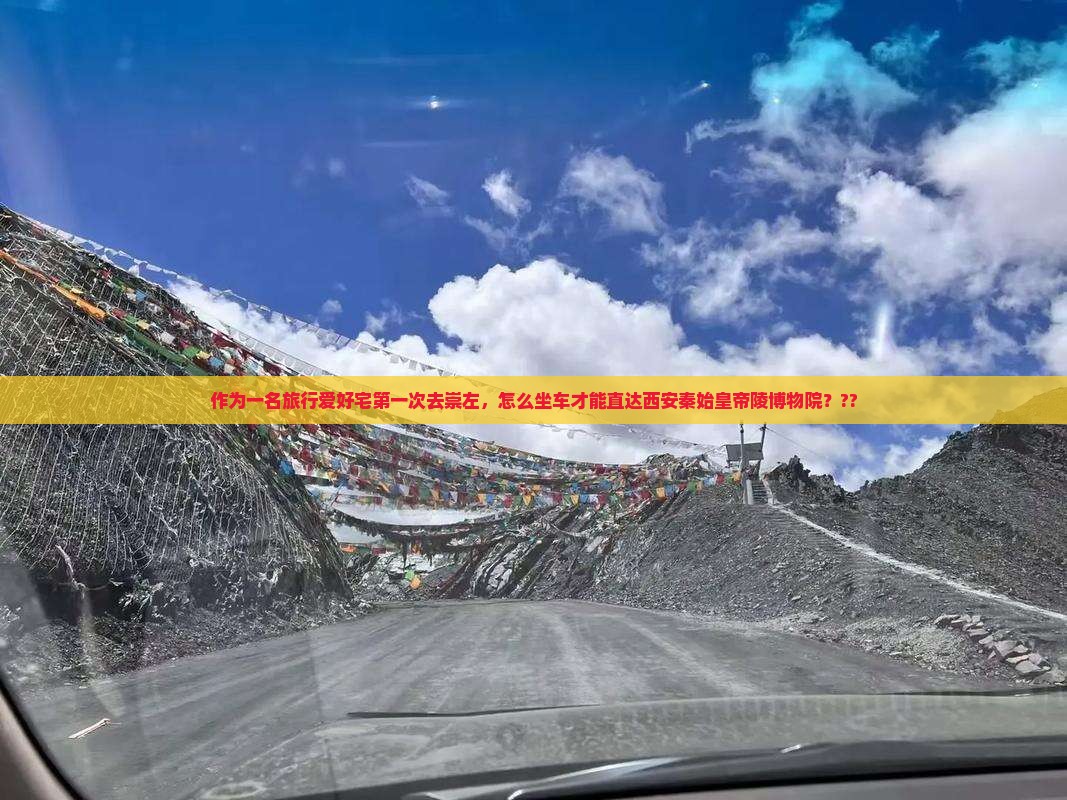 作为一名旅行爱好宅第一次去崇左，怎么坐车才能直达西安秦始皇帝陵博物院？??