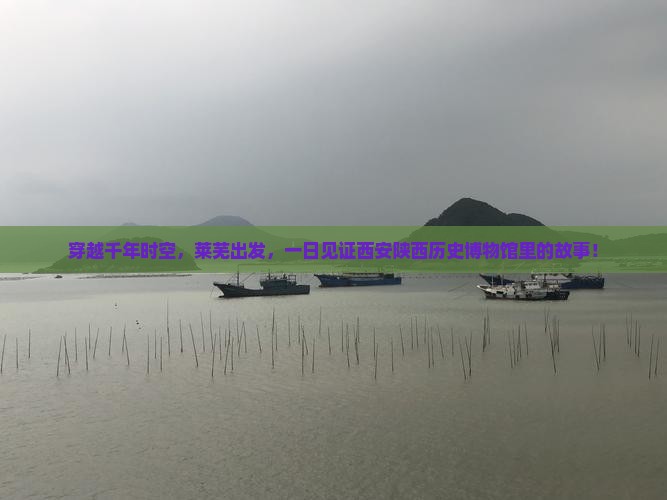 穿越千年时空，莱芜出发，一日见证西安陕西历史博物馆里的故事！