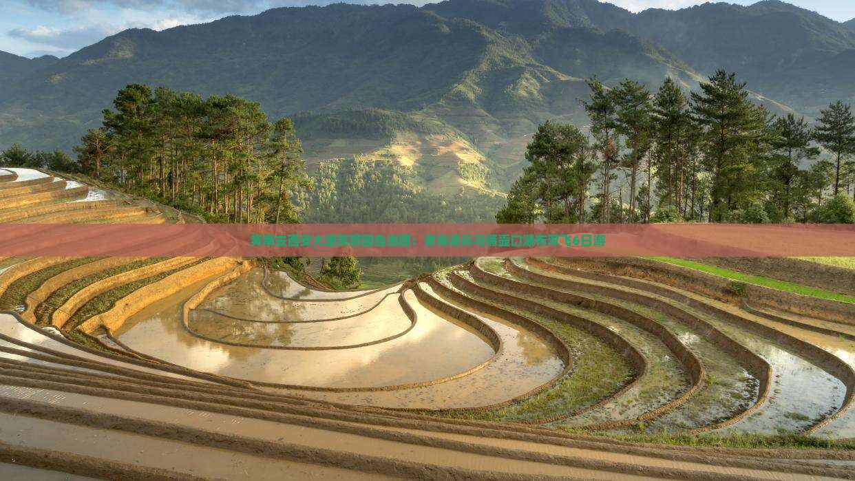 黄南去西安大唐芙蓉园自由团：青海湖兵马俑壶口瀑布双飞6日游