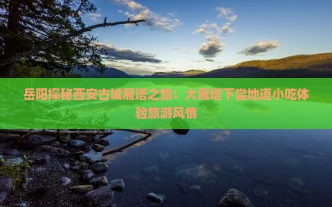岳阳探秘西安古城雁塔之旅：大雁塔下尝地道小吃体验旅游风情