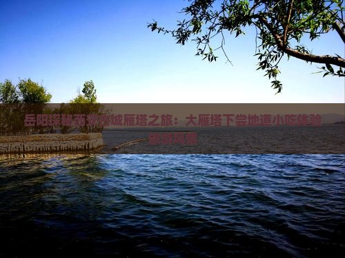 岳阳探秘西安古城雁塔之旅：大雁塔下尝地道小吃体验旅游风情