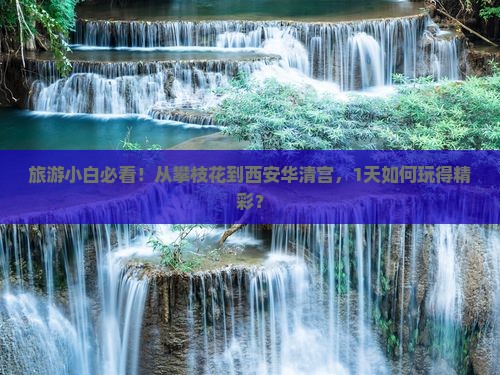 旅游小白必看！从攀枝花到西安华清宫，1天如何玩得精彩？