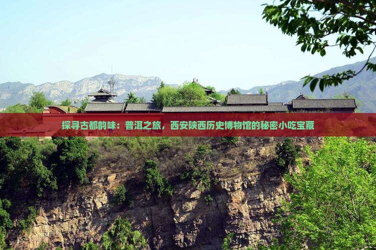 探寻古都韵味：普洱之旅，西安陕西历史博物馆的秘密小吃宝藏