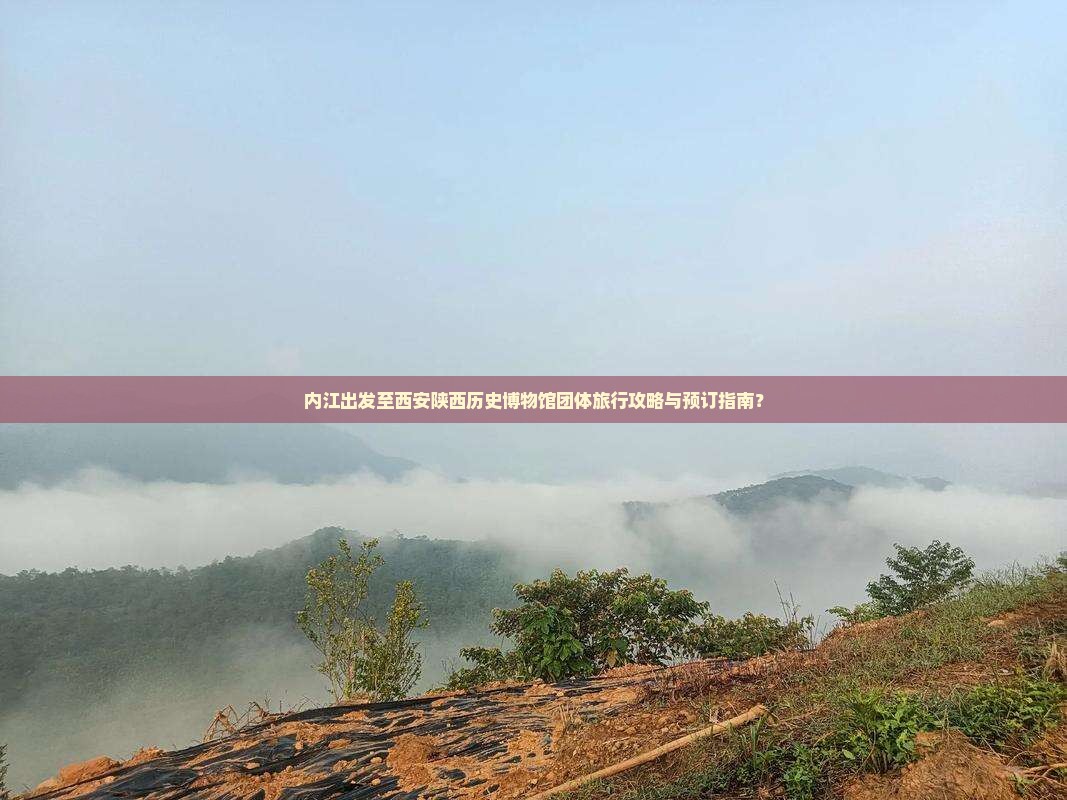 内江出发至西安陕西历史博物馆团体旅行攻略与预订指南？