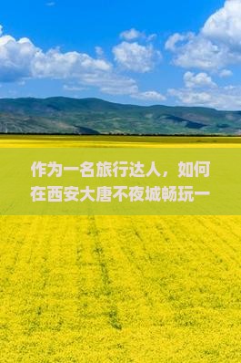 作为一名旅行达人，如何在西安大唐不夜城畅玩一整天？