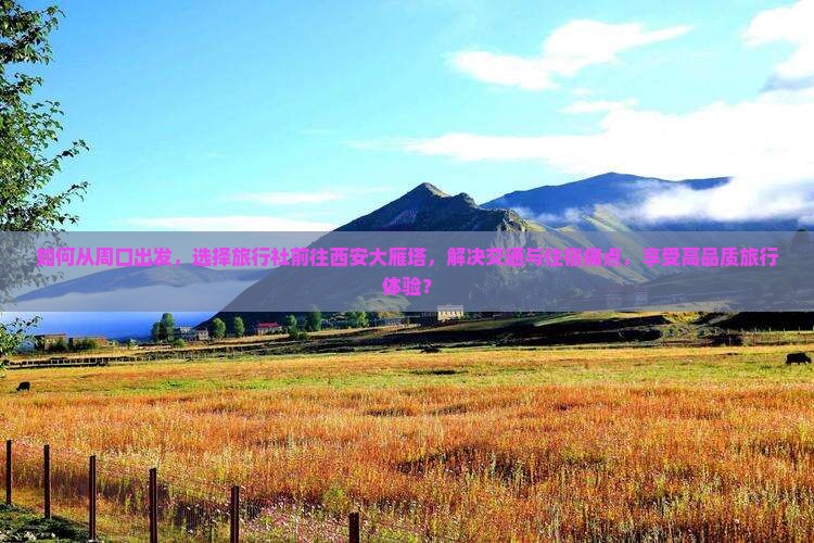 如何从周口出发，选择旅行社前往西安大雁塔，解决交通与住宿痛点，享受高品质旅行体验？