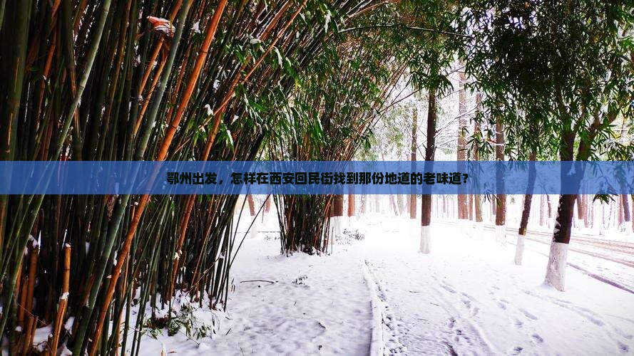 鄂州出发，怎样在西安回民街找到那份地道的老味道？