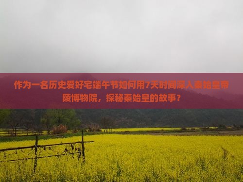 作为一名历史爱好宅端午节如何用7天时间深入秦始皇帝陵博物院，探秘秦始皇的故事？
