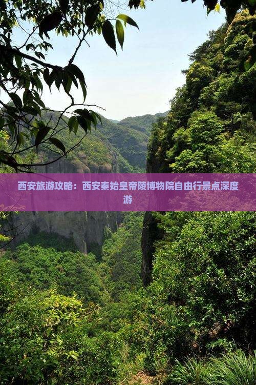 西安旅游攻略：西安秦始皇帝陵博物院自由行景点深度游