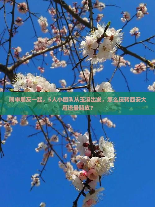 同事朋友一起，5人小团队从玉溪出发，怎么玩转西安大雁塔最嗨皮？