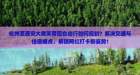 杭州至西安大唐芙蓉园自由行如何规划？解决交通与住宿痛点，解锁网红打卡新姿势！