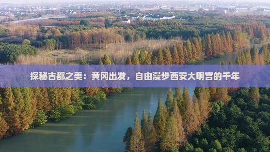 探秘古都之美：黄冈出发，自由漫步西安大明宫的千年
