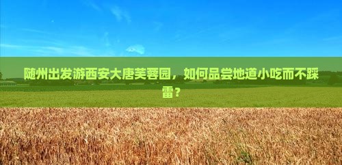随州出发游西安大唐芙蓉园，如何品尝地道小吃而不踩雷？