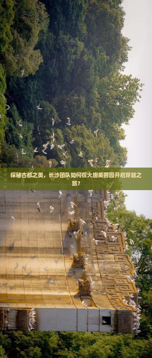 探秘古都之美，长沙团队如何在大唐芙蓉园开启穿越之旅？