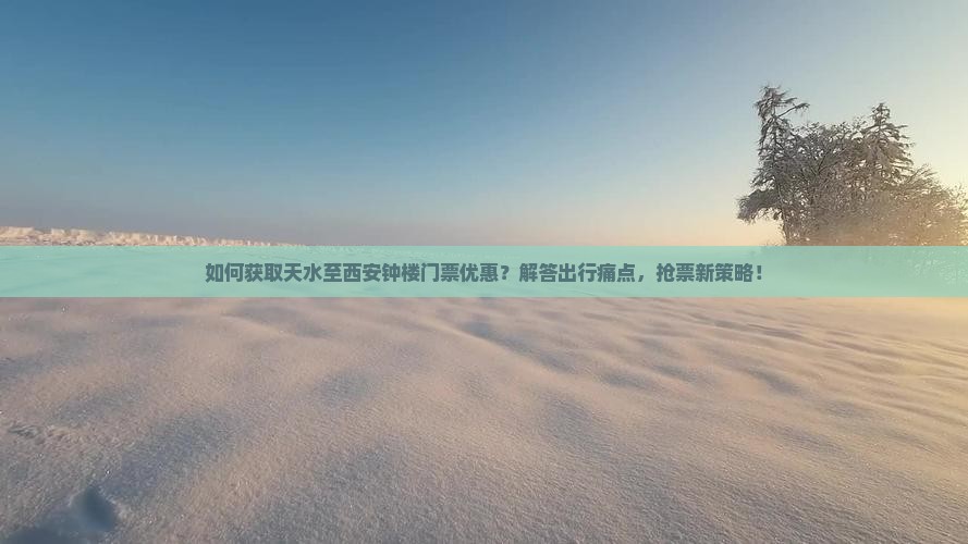 如何获取天水至西安钟楼门票优惠？解答出行痛点，抢票新策略！