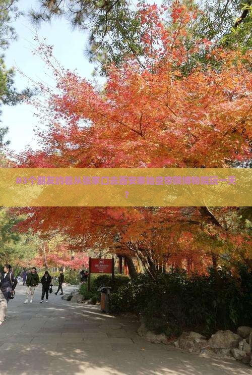 #3个朋友约着从张家口去西安秦始皇帝陵博物院玩一天？
