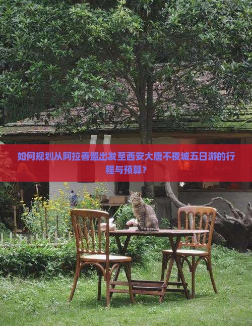 如何规划从阿拉善盟出发至西安大唐不夜城五日游的行程与预算？