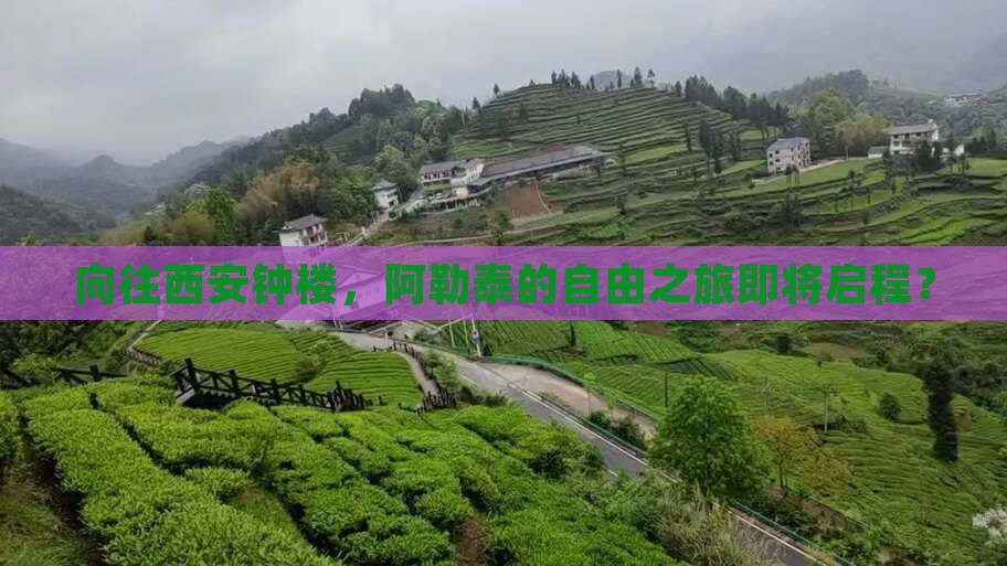 向往西安钟楼，阿勒泰的自由之旅即将启程？
