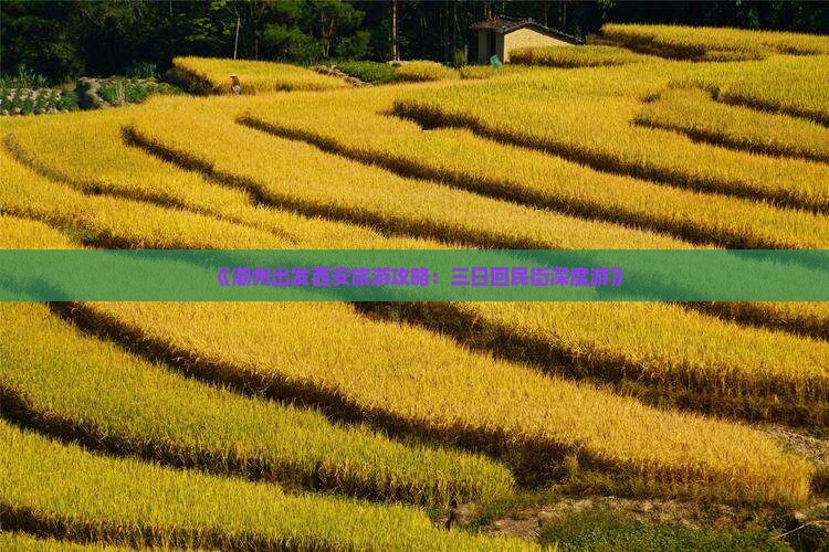 《潮州出发西安旅游攻略：三日回民街深度游》