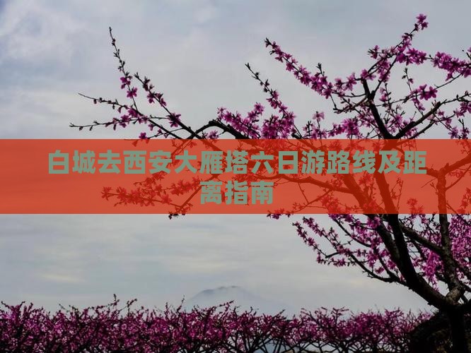 白城去西安大雁塔六日游路线及距离指南
