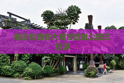 临汾到西安大明宫遗址公园三日游