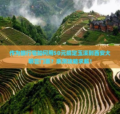 作为旅行宅如何用50元搞定玉溪到西安大明宫门票？亲测攻略求解！