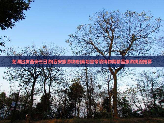 芜湖出发西安三日游|西安旅游攻略|秦始皇帝陵博物院精品旅游线路推荐